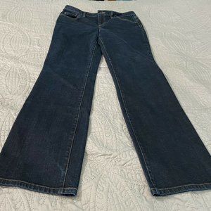 Ann Taylor LOFT Original Boot Dark Wash Womens Jeans 10 (B)